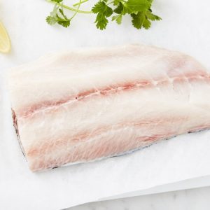 cobia