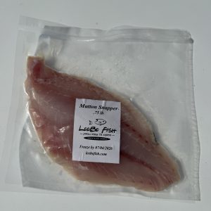 Mutton Snapper