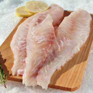 red grouper