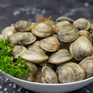clams