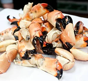 medium stone crabs