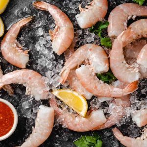 key west pink shrimp