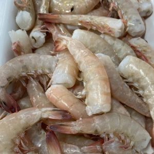 key west pink shrimp
