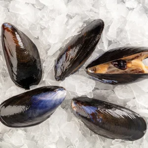 mussels