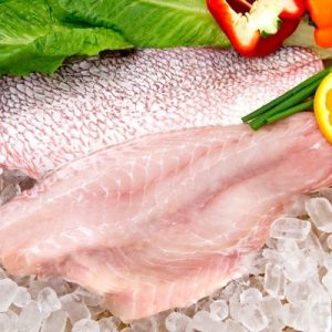 mutton snapper