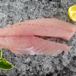 yellowtail snapper