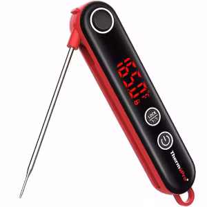 thermopro probe