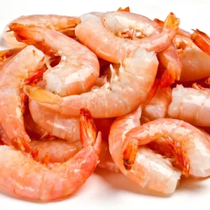 Key West Pink Shrimp
